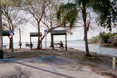 View of Lake Trafford from picnic area